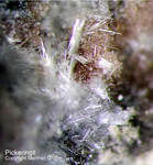 Lavrion Mineralien Plaka Pickeringit