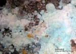Lavrion Mineralien Serpieri Aurichalcit