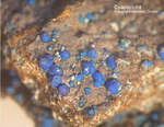 Lavrion Mineralien Serpieri Cyanotrichit