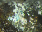 Lavrion Mineralien Passa Limani Brianyoungit Bastenbergit