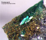 Lavrion Mineralien Passa Limani Paratacamit