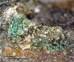 Lavrion Mineralien Sounion Atacamit