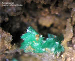 Lavrion Mineralien Jean Baptiste Annabergit