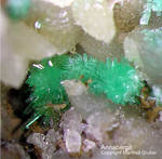 Lavrion Mineralien Jean Baptiste Annabergit