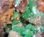 Lavrion Mineralien Jean Baptiste Annabergit