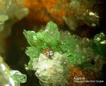 Lavrion Mineralien Jean Baptiste Austinit