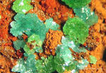 Lavrion Mineralien Jean Baptiste Austinit