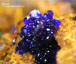Lavrion Mineralien Jean Baptiste Azurit