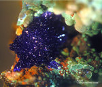 Lavrion Mineralien Jean Baptiste Azurit