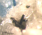 Eifel Mineralien Mendig Pyroxen