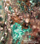 Eifel Mineralien Stolberg Münsterbusch Brochantit