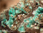 Eifel Mineralien Stolberg Münsterbusch Brochantit