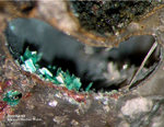 Eifel Mineralien Stolberg Münsterbusch Brochantit