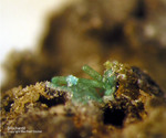 Eifel Mineralien Stolberg Münsterbusch Brochantit