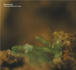 Eifel Mineralien Stolberg Münsterbusch Brochantit