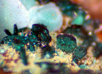 Eifel Mineralien Stolberg Münsterbusch Brochantit