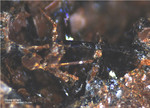 Eifel Mineralien Münsterbusch Stolberg Hypersthen