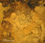 Eifel Mineralien Münsterbusch Stolberg Jarosit