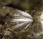 Eifel Mineralien Münsterbusch Stolberg Gips