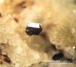 Eifel Mineralien Niveligsberg Amphibol