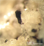 Eifel Mineralien Niveligsberg Amphibol