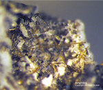 Eifel Mineralien Niveligsberg Amphibol