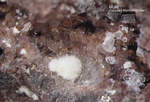 Eifel Mineralien Niveligsberg Mullit