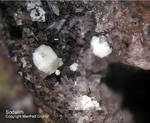 Eifel Mineralien Niveligsberg Sodalith