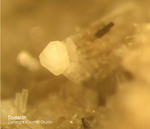 Eifel Mineralien Niveligsberg Sodalith