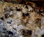 Eifel Mineralien Niveligsberg Tridymit