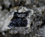 Eifel Mineralien Wingertsberg Augit