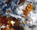 Eifel Mineralien Wingertsberg Phlogopit