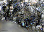 Eifel Mineralien Wingertsberg Phlogopit