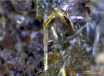 Eifel Mineralien Wingertsberg Pyroxen