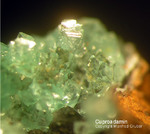 Griechenland Lavrion Mineralien Christiana Cuproadamin