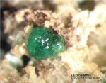 Griechenland Lavrion Mineralien Christiana Cuproadamin