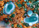 Griechenland Lavrion Mineralien Christiana Cuproadamin