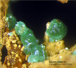 Griechenland Lavrion Mineralien Christiana Cuproadamin