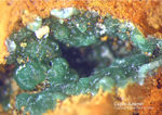 Griechenland Lavrion Mineralien Christiana Cuproadamin