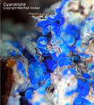 Griechenland Lavrion Mineralien Christiana Cyanotrichit