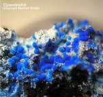 Griechenland Lavrion Mineralien Christiana Cyanotrichit
