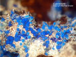 Griechenland Lavrion Mineralien Christiana Cyanotrichit