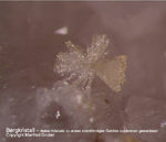 Odenwald Mineralien Reichenbach 14.0 Bergkristall Quarz