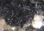Odenwald Mineralien Reichenbach 14.0 Kryptomelan