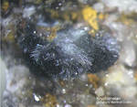 Odenwald Mineralien Reichenbach 14.0 Kryptomelan