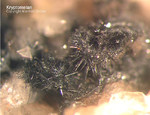 Odenwald Mineralien Reichenbach 14.0 Kryptomelan