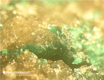 Odenwald Mineralien Reichenbach 14.0 Pseudomalachit