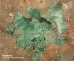 Odenwald Mineralien Reichenbach 14.0 Malachit