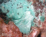 Odenwald Mineralien Reichenbach 14.0 Malachit