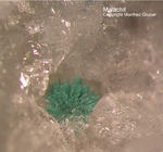 Odenwald Mineralien Reichenbach 14.0 Malachit